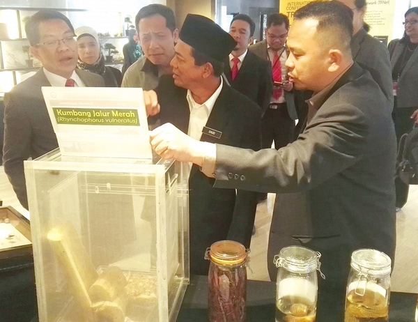 Sabah aspires to be top  regional fruit producer