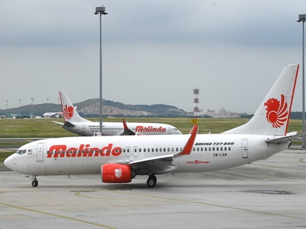 Cabin Crew Recruitment Scam Using Malindo Air S Name Daily