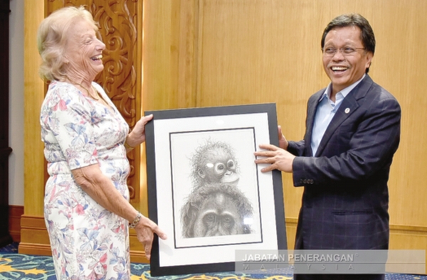 UK NGO donates RM1mil to help protect orangutan