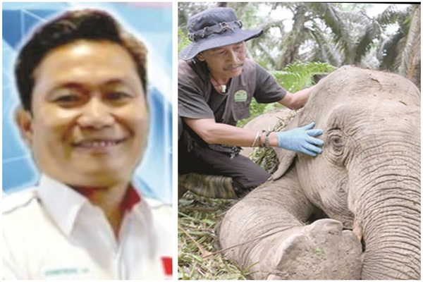 Call for jumbo conservation centre in Telupid 